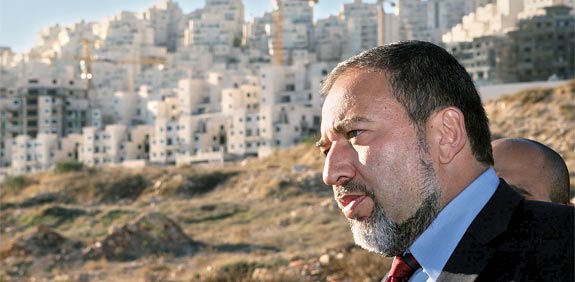 אביגדור ליברמן / צילום: אריאל ירוזלמיסקי