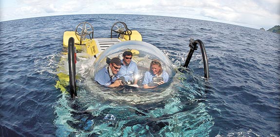 אתר צלילה קוסטה ריקה / צילום: Undersea Hunter