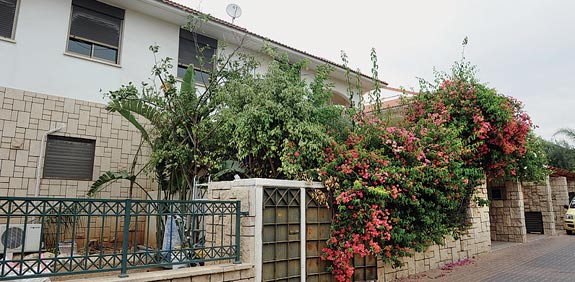 דו משפחתי ראשלצ / צילום: תמר מצפי