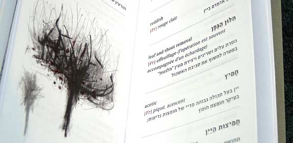 עמוד מתוך מילון היין העברי / צילום: חיליק גורפינקל