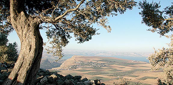 קרני חיטין / צילום: יותם יעקבסון