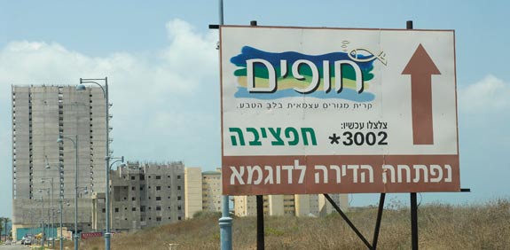 חפציבה / צילום: תמר מצפי