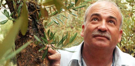גדי הורוביץ / צילום: אלעד גרשגורן