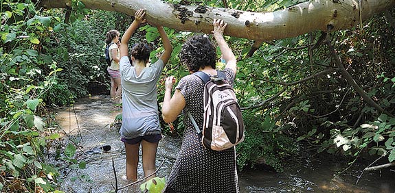 הליכה בפלג ליש / צילום: איל יצהר
