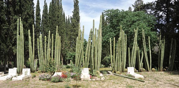 בית הקברות במשמר העמק / צילום: איל יצהר