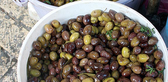 מסיק זיתים / צילום: אורלי גנוסר