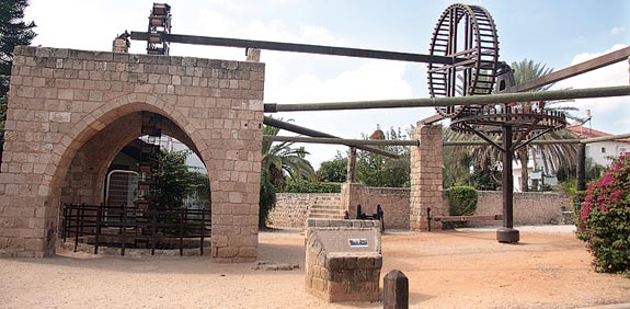 הבאר האנטילית / צילומים: אורלי גנוסר