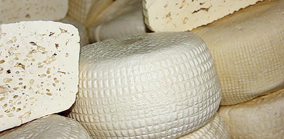 גבינות צאן /  צילום: נועה פובלוצקי