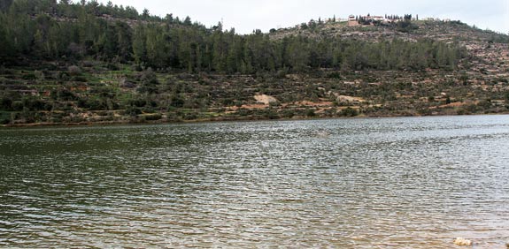 אגם בית זית / צילום: אורלי גנוסר