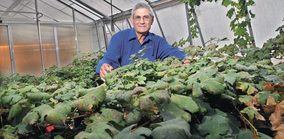 יוסי ישי / צילום: איל יצהר