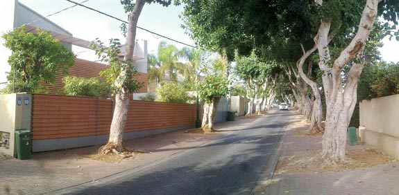הרצליה פיתוח / צילום אילוסטרציה: אמיר מאירי