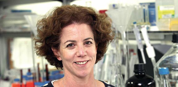 ד"ר רוני ממלוק / צילום: אוריה תדמור