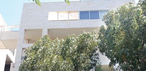 הדופלקס של דודו טופז / צילום: תמר מצפי