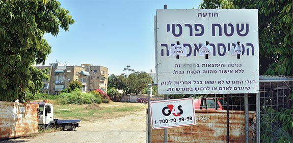 הבור בפנקס / צילום: תמר מצפי
