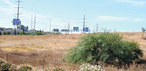 השטח שהופקע סמוך למחלף ראשונים / צילום: תמר מצפי