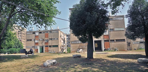 נווה שרת / צילום: איל יצהר