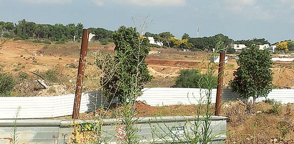 השטח שעליו תיבנה השכונה בבאר יעקב / צילום: שלומית צור