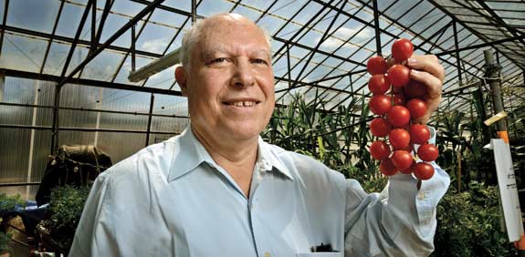 פרופסור חיים רבינוביץ / צילום: איל יצהר