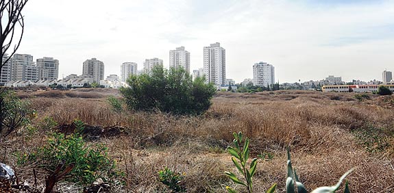 הקרקע בגבעת שמואל / צילום: תמר מצפי