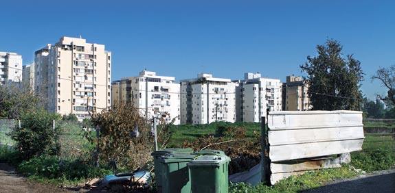שכונת בבלי בתל אביב / צילום: שלומי יוסף