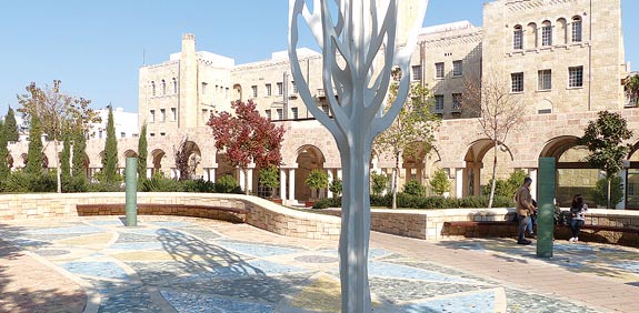 גן כתר דוד  / צילום: גילי מצא