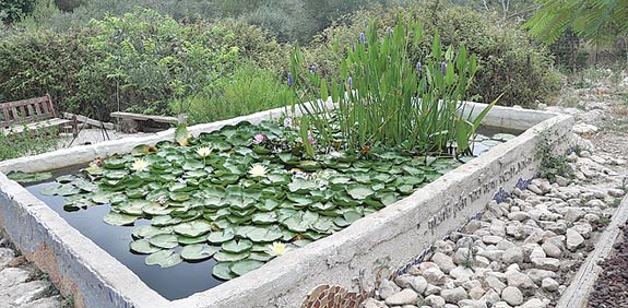 עין מוקש / צילום: ערן ודוד גלאור