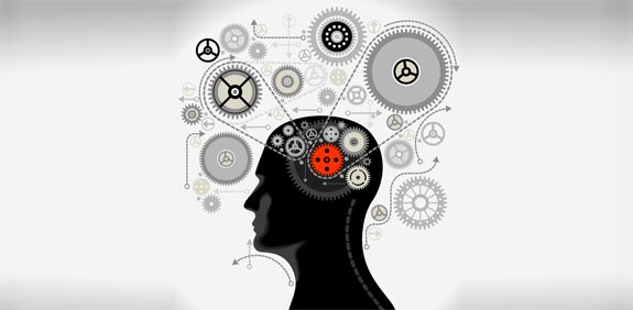 חקר המוח / צילום: thinkstock