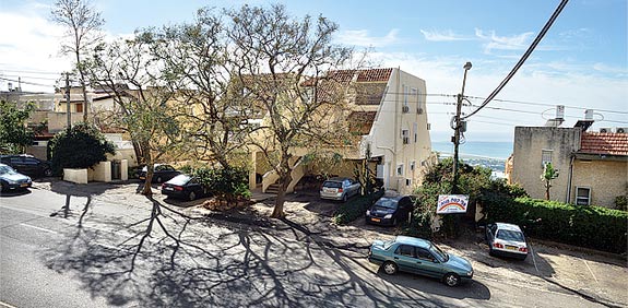 רחוב הרופא בחיפה/ צילום:תמר מצפי