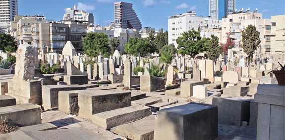בית העלמין טרומפלדור בתל אביב / צילום: אתי פורטיס