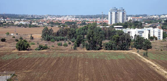 שטח חקלאי ליד שכונת מגורים / צילום: איל יצהר