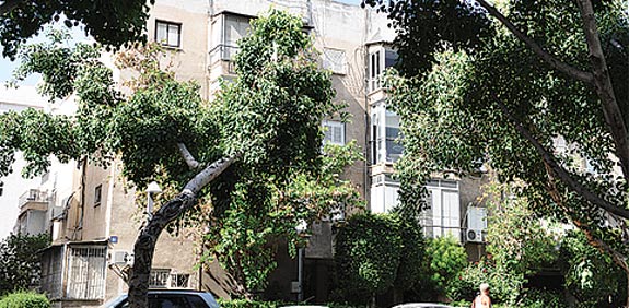 שד' נורדאו , תל אביב / צילום: תמר מצפי
