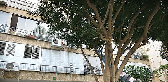 יד שנייה ברחוב חפץ חיים בפתח תקווה / צילום: תמר מצפי