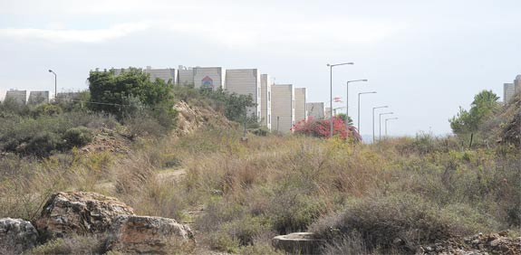 חריש / צלם: איל יצהר