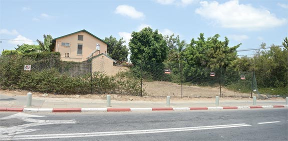 מגרש ובית בשכונת נאות אפקה בתל אביב / צילום: תמר מצפי