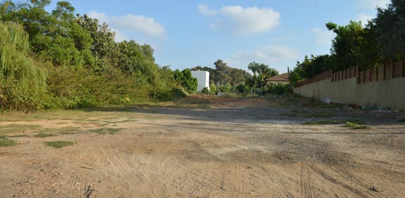 מגרש בברושים 33 רמות השבים/ צילום: תמר מצפי