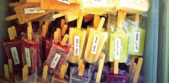 פאלטאס / צילום: תמר אביטל