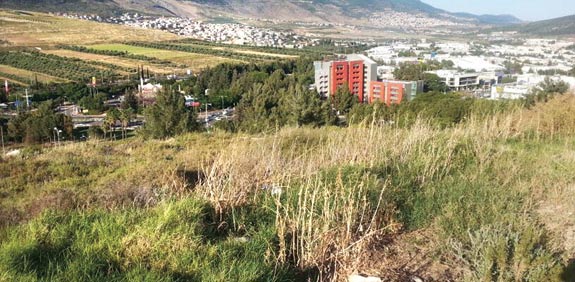 השטח המיועד למגדל בכרמיאל / צילום: אלי יהב