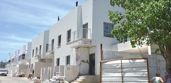 פרוייקט ורד צהלה/ צילום: תמר מצפי