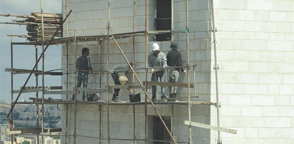 פועלים באתר בנייה / צילום: איל יצהר