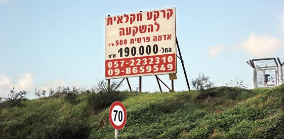 קרקע למכירה / צילום: איל יצהר