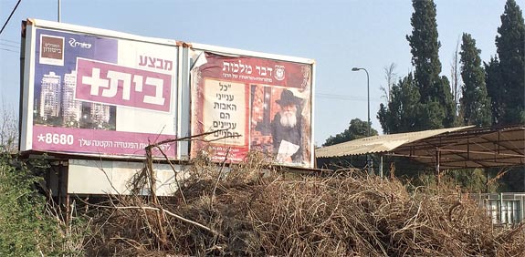 פרסום בכניסה למושב צופית / צילום: מירב מורן