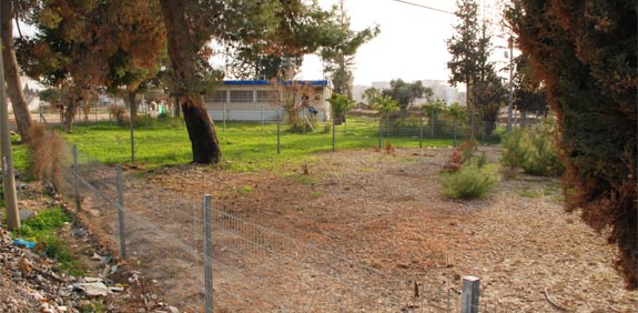 השטח בלוד / צילום: אלי יהב