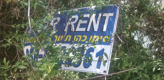 שלט השכרה בירושלים / צילום: איל יצהר