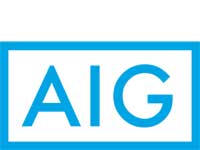 לוגו AIG  / צילום: יחצ