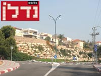 אלפי מנשה / צילום: איל יצהר