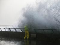 סערה / צילום: רויטרס