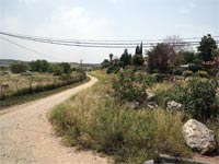 שטח המחלוקת ליד צור יגאל / צילום: איל יצהר