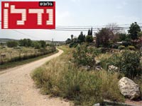 שטח המחלוקת ליד צור יגאל / צילום: איל יצהר