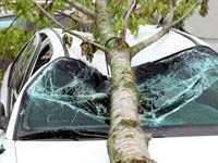 נזקים כתוצאה מפגעי מזג האוויר/ צילום:  Shutterstock/ א.ס.א.פ קרייטיב