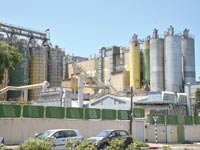 מפעל באשדוד. בישראל רק 5% מהמפעלים חוברו לגז טבעי, לעומת 28% במדינות OECD / צילום: תמר מצפי